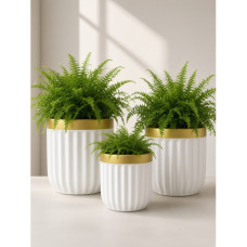 PLASTIC VASE 3PC GOLD RIM