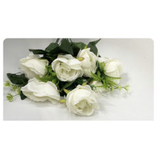 PEONIE NEW BUNCH