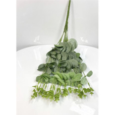 LEAVES SHORT STEM