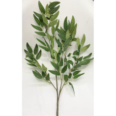 LEAVES LONG STEM